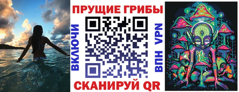 hydra tor  закладки  Скопин  Галлюциногенные грибы прущие грибы 